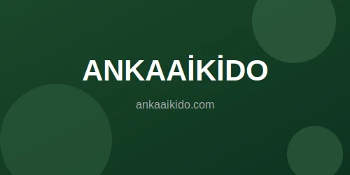 Ankaaikido firması için Berker Melih Dijital Ajans tarafından geliştirilen web sitesi projesi